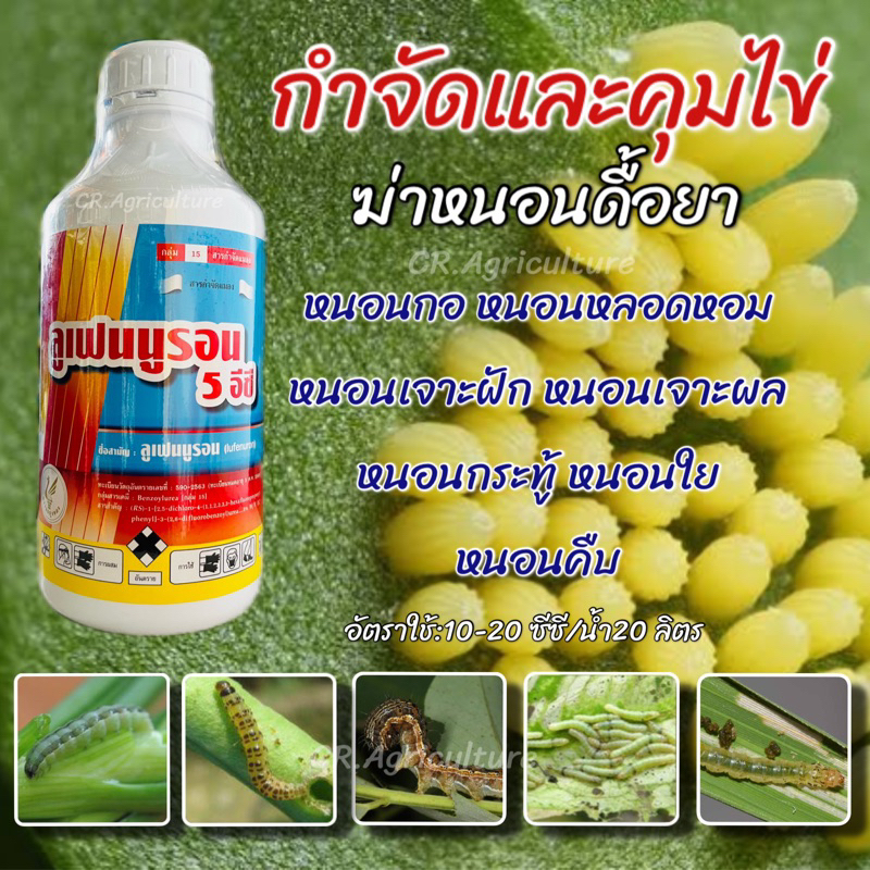 ลูเฟนนูรอน-1-ลิตร-lufenuron-คุมไข่และกำจัดหนอน-กำจัดหนอนทุกชนิด-ยับยั้งตัวอ่อน-ยับยั้งการลอกคราบ-ฆ่าหนอน-หนอนดื้อยา