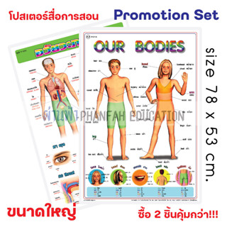 (ถูกกว่าซื้อแยก10%)โปสเตอร์ความรู้ คำศัพท์ ร่างกาย และร่างกายภายใน เซทสุดคุ้ม