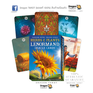 ไพ่ออราเคิล Herbs and Plants Lenormand Oracle Cards (ของแท้ 100%)  สินค้าพร้อมส่ง ไพ่แท้, ร้าน Dragon TAROT