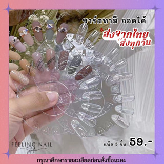 ชาร์ททาสี โชว์เล็บเจล UV พลาสติก ทรงกลม ถอดออกได้