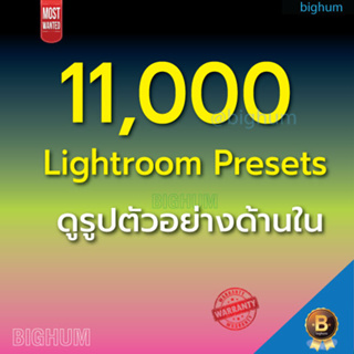 11000+ Lightroom Presets Collection (Windows / Mac)