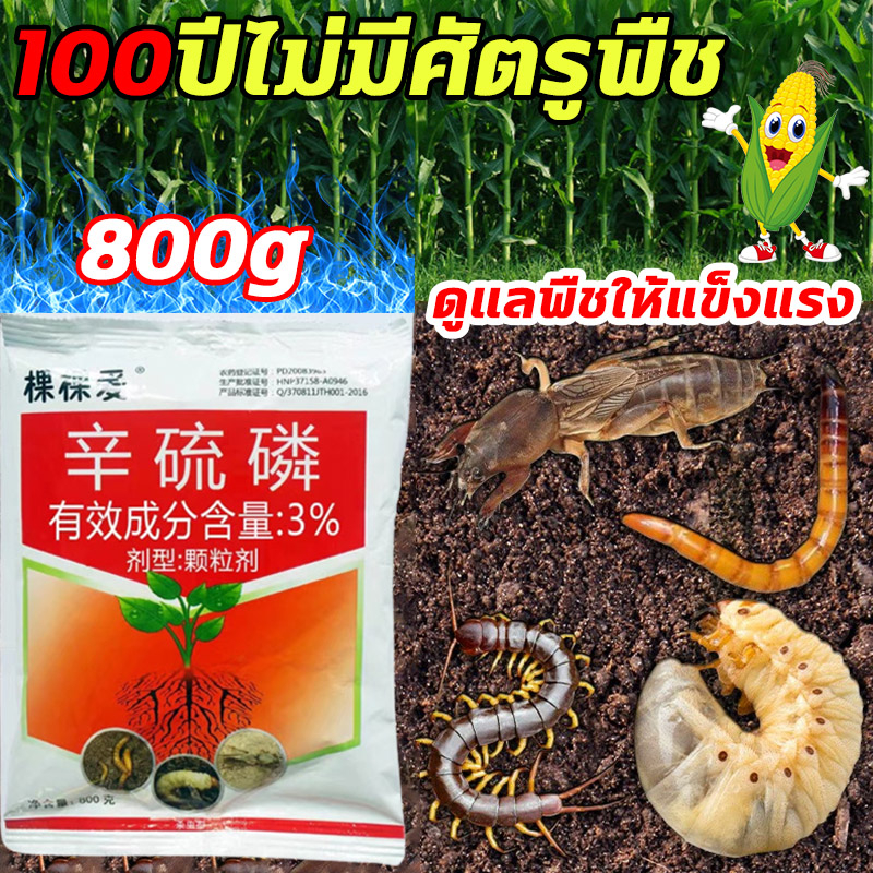 100ปีไม่มีศัตรูพืช-dt-โพธิ์ซิม-3-ยากำจัดแมลง-ยาฆ่าแมลง-ยาฆ่าหนอน-800g-ซึ่งสามารถฆ่าศัตรูพืชทั่วไปในข้าวโพด