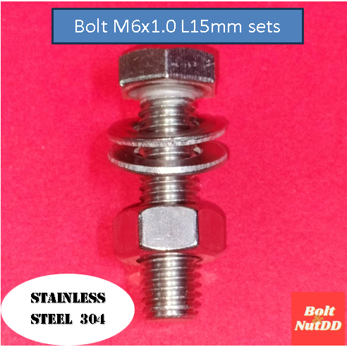screwset-ชุดน็อตตัวผู้-หกเหลี่ยม-น็อตตัวเมีย-แหวน-เบอร์10-m6-เกลียวยาว15มม-เกลียวมิล1-0-วัสดุ-สแตนเลส304-1ถุง5-ชุด