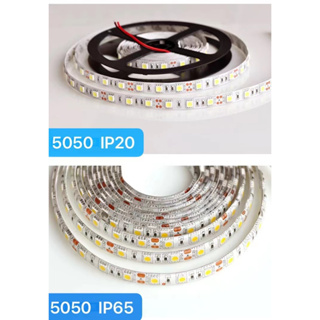 ไฟเส้น LED Strip Light 5050 60LED 12V มีIP65และIP20 กันน้ำ (ยาว 5 เมตร) มีหัวแจ็ค DC