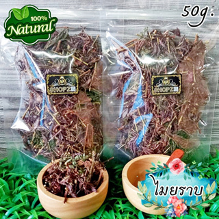 เจ้าเก่าลิงค์ใหม่ 🌿ชาสมุนไพร🌿 ชาไมยราบ ไมยราบอบแห้ง ขนาด 50 กรัม Dried Sensitive Plant