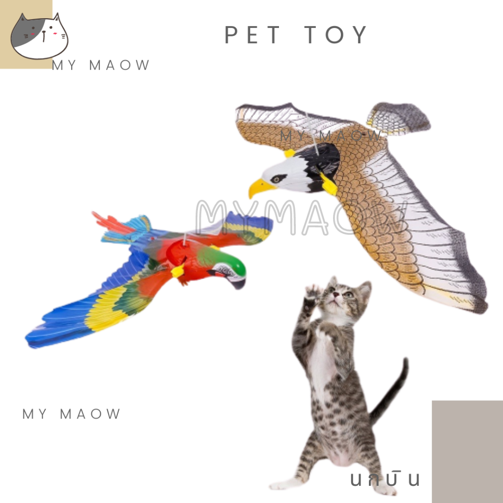 mm-cat-ของเล่นสัตว์เลี้ยง-นกบิน-นกแก้วบิน-นกอินทรีบิน