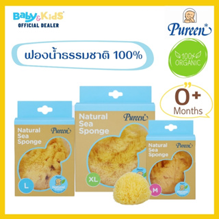 Pureen เพียวรีน ฟองน้ำอาบน้ำเด็ก  ฟองน้ำอาบน้ำเด็กแรกเกิด ฟองน้ำธรรมชาติแท้ 100% จากทะเลเมดิเตอร์เรเนี่ยน