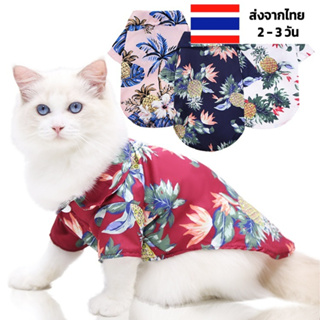 เสื้อเชิ้ตแมว ส่งด่วน-ร้านไทย แมวน่ารักๆ