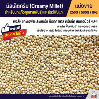 สินค้า มิลเล็ตครีม Creamy Millet เกรด A สะอาด ไร้ฝุ่น อาหารนกแก้วทุกสายพันธุ์ (แบ่งขาย 250G / 500G / 1KG)