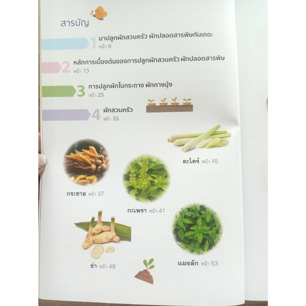 9786160044245-เทคนิคการปลูกผักสวนครัว-ผักปลอดสารพิษ-เล่ม-2-ชุดปลูกผักเลี้ยงครอบครัว