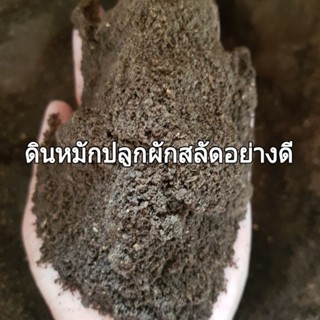 ดินปลูกผักสลัดอย่างดี เป็นดินหมักผ่านกระบวนการหมัก