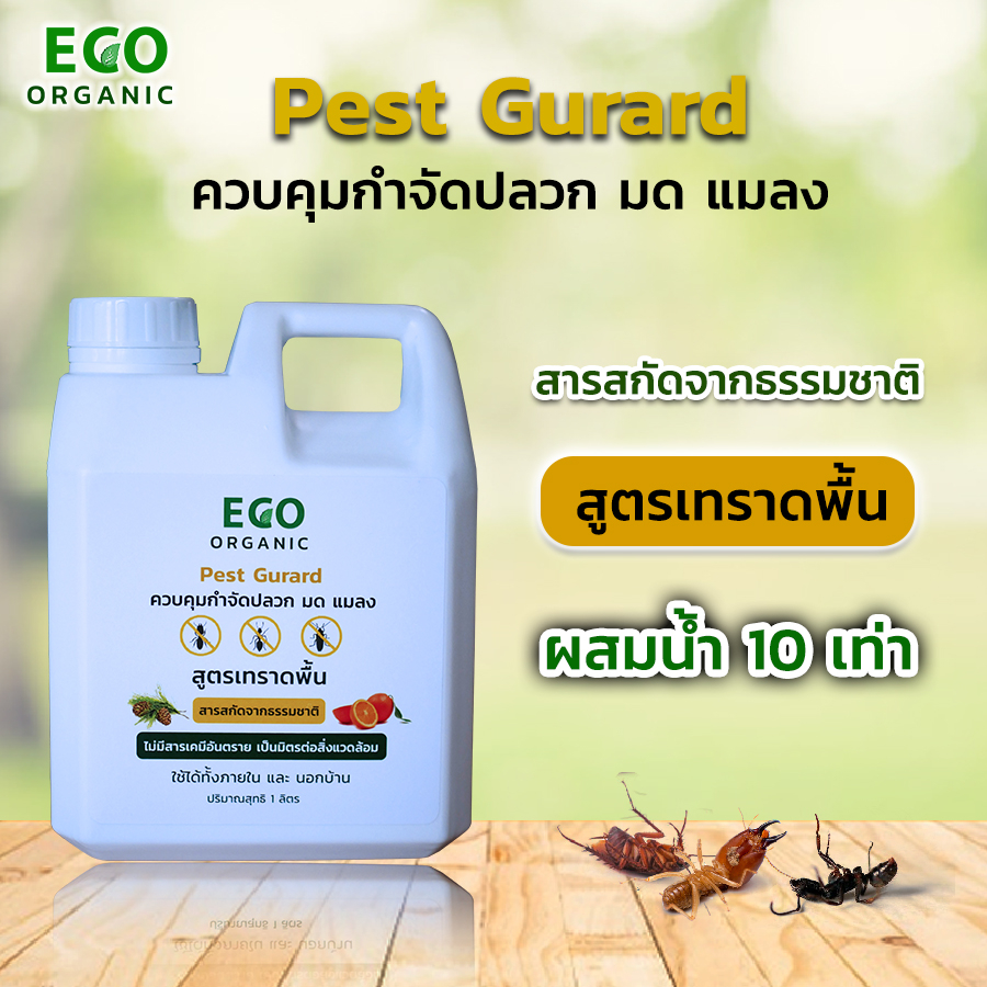 pest-gurard-กำจัดปลวก-ไล่ปลวก-สมุนไพรปลวก-ไล่ปลวกปลูกผัก