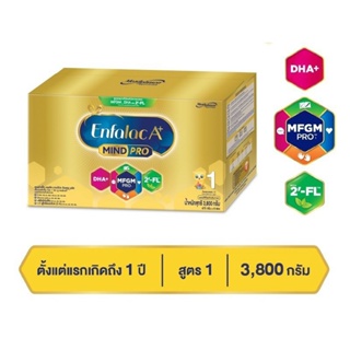 สินค้า เอนฟาแล็ค A+ สูตร1 (3,800กรัม) Exp.03-2024