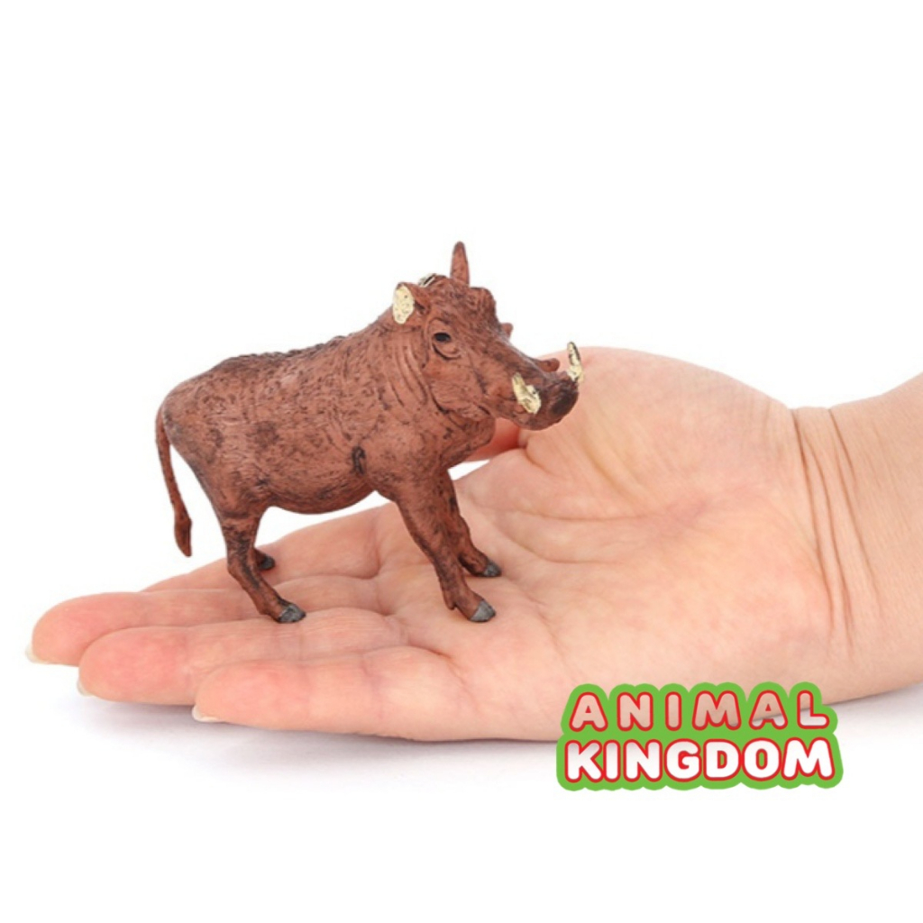 animal-kingdom-โมเดลสัตว์-หมูป่า-แดง-ขนาด-10-00-cm-จากหาดใหญ่