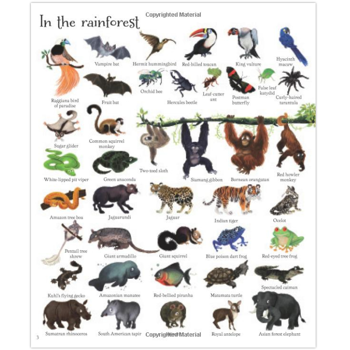 1000-animals-hardcover-picture-reference-book-contains-exactly-1000-animals