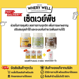 (แถมฟรีProbiotic+มีวิธีทานให้) เซ็ตเวย์พืช Plant protein whery เวรี่ เวย์โปรตีนพืช 3 กระปุก