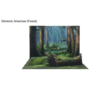 โมเดลกระดาษ 3D : ฉากหลัง 3D ป่าอเมริกา (Americas  Forest) กระดาษโฟโต้เนื้อด้าน  กันละอองน้ำ ขนาด A4 220g.
