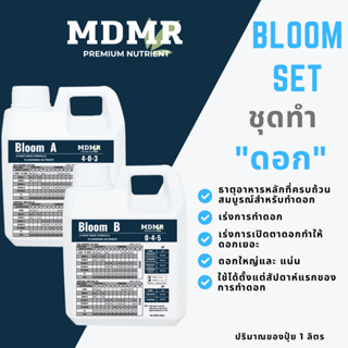 BLOOM SET ( BLOOM A, BLOOM B ) ปุ๋ยสำหรับการทำดอก