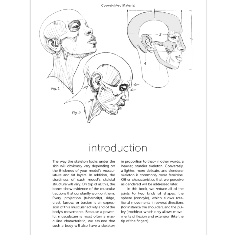 morpho-skeleton-and-bone-reference-points-anatomy-for-artists