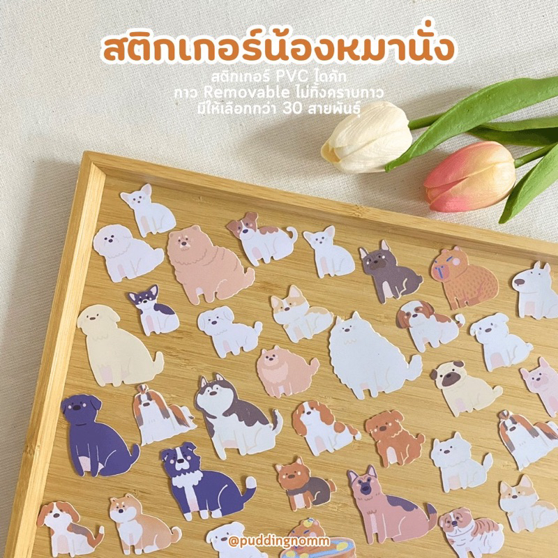 พร้อมส่ง-สติกเกอร์น้องหมา-doggo-sticker-vol-1-สติกเกอร์น้องหมาตามสายพันธุ์-สติกเกอร์ไดคัท-กันน้ำ-ตกแต่ง