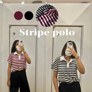 - Stripe POLO - เสื้อโปโลลายทางผ้าร่อง
