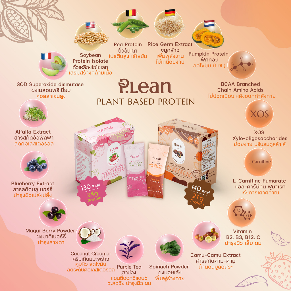 ภาพหน้าปกสินค้าP.lean Plant Protein Drink Cocoa & Strawberry Flavour - (7 Sachets) จากร้าน shopdee.official บน Shopee