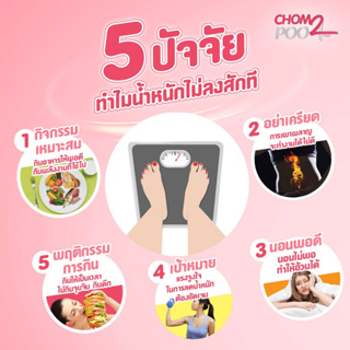 ภาพขนาดย่อของภาพหน้าปกสินค้าDonutt Fibely Mix 10 ซอง โดนัท ไฟบิลี่ มิกซ์ ไฟบีลี่ มิกซ์ (ตราโดนัทท์) จากร้าน sispy_bag บน Shopee ภาพที่ 3