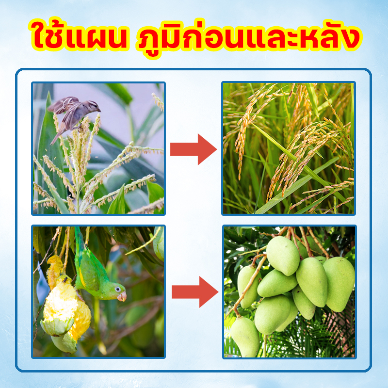 ทั้งภูเขาไม่มีนก-ปกป้องพืชผล-กังหันลมไล่นก-แบบสะท้อนแสง-ไล่นก-ก้อนไล่นกพิราบกันนกพิราบที่ไล่นกพิราบไล่นกพิราบหนามไล่นก