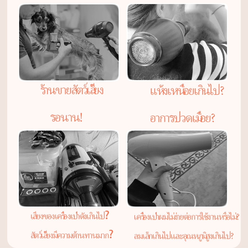 กล่องอบแห้งสัตว์เลี้ยง-เครื่องเป่าขนแมวอัตโนมัติ-สำหรับสัตว์เลี้ยง-กำลัง-เครื่องทำงานเสียงเบาเครื่องเป่าลมไดร์เปาขนแมว