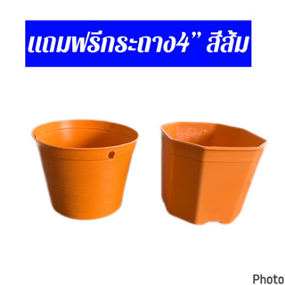 ภาพหน้าปกสินค้าสินค้าตัวแถม 4”สีส้มไม่ได้จำหน่าย ที่เกี่ยวข้อง