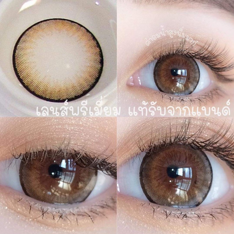 brown-ขนาดตาโต-บิ๊กอายตาโต-กรองแสงuv-เลนส์แท้จดทะเบียนถูกต้อง-ผ่านอย-ไทย-บิ๊กอายส์-bigeyes