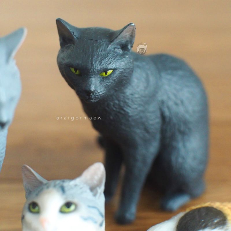 พร้อมส่ง-กาชาปองญี่ปุ่น-น้องแมวผลงานศิลปิน-osamu-moriguchi-จากซีรี่ย์-art-in-the-pocket