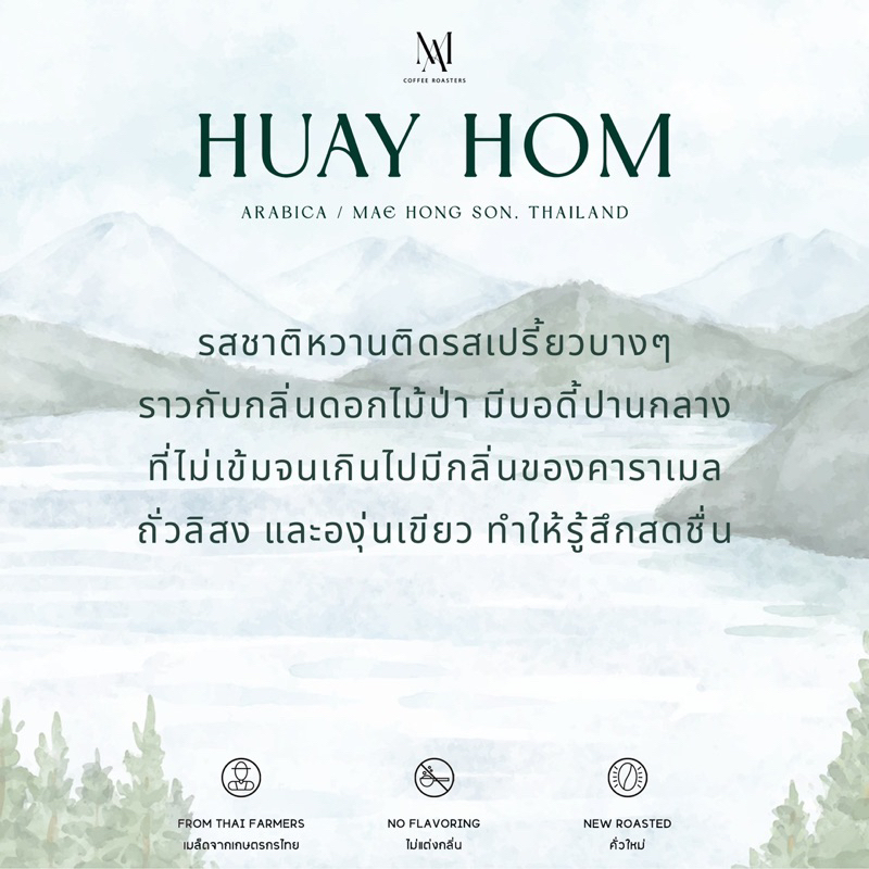 armorn-coffee-เมล็ดกาแฟคั่วกลางห้วยฮ่อม-huay-hom-wash-process-200-กรัม-คั่วกลางอ่อน-กลางเข้ม