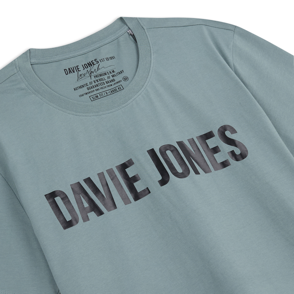 davie-jones-เสื้อยืดพิมพ์ลายโลโก้-สีน้ำตาล-สีฟ้า-สีเขียว-สีกากี-logo-print-t-shirt-in-green-tb0298br-sl-gr-kh