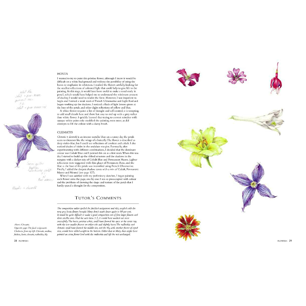 botanical-sketchbook-drawing-painting-and-illustration-for-botanical-artists-paperback