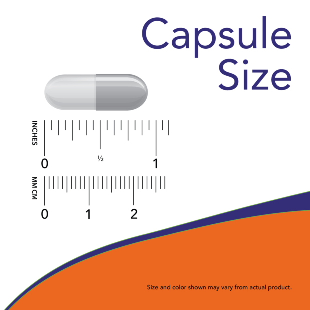 สุดยอดอาหารเสริมบำรุงสมอง-now-foods-gaba-size-500-mg-contains-100-vegetable-capsules-no-771