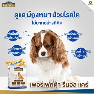 แถม100กรัม-perfecta-500g-อาหารสุนัขโรคไต-bnn-petshop