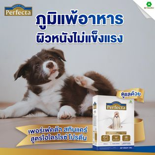 แถม100กรัม-perfecta-500g-อาหารสุนัขโรคผิวหนัง-อาหารสุนัขภูมิแพ้-อาหารสุนัขสกินแคร์-bnn-petshop-bnnpetsh