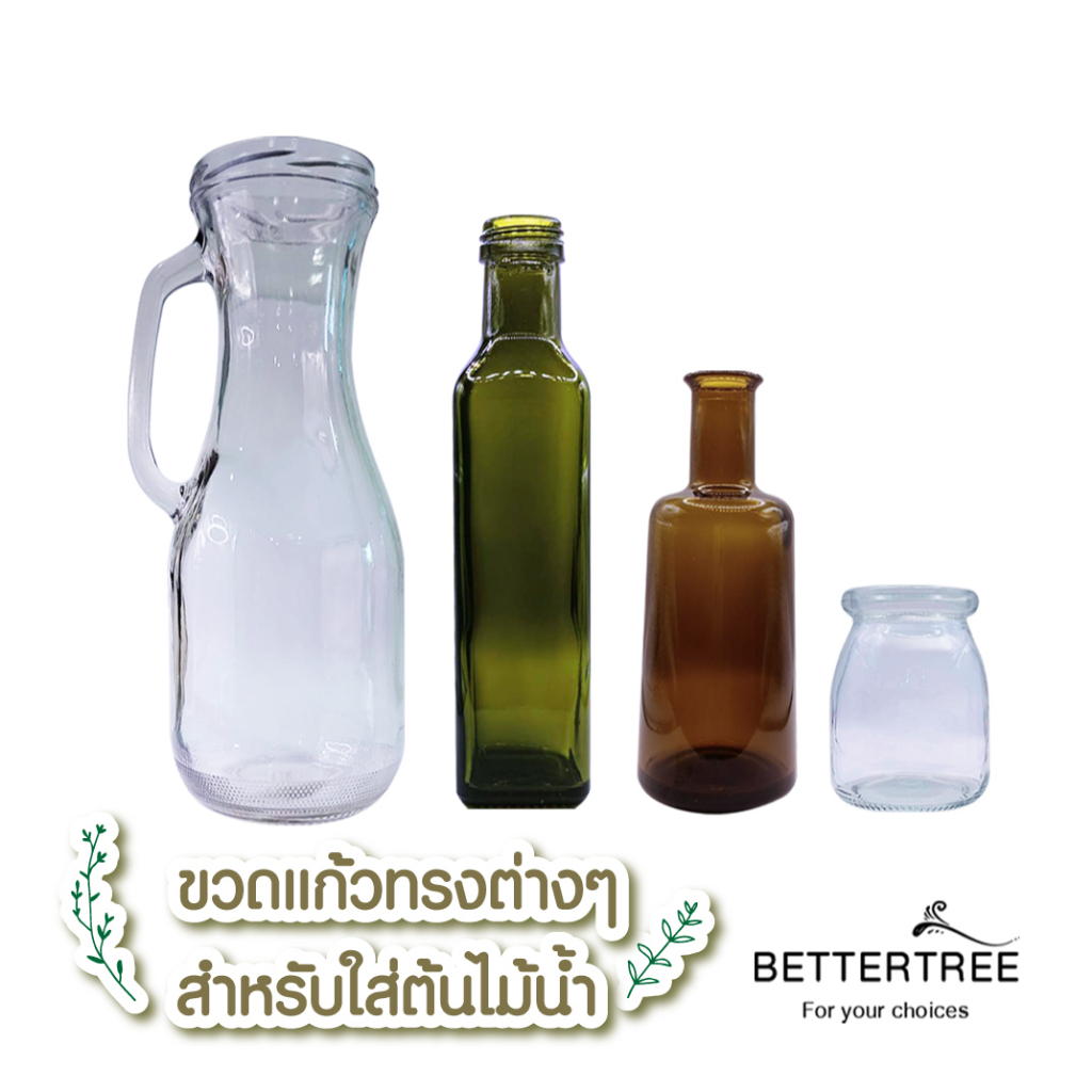 ขวดแก้ว-ใส่ต้นไม้เลี้ยงน้ำ-แจกันมินอมอล-แจกันแก้ว-vase