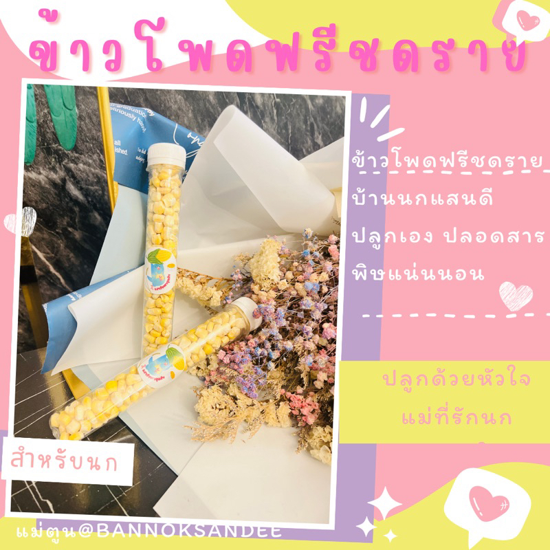 ข้าวโพดฟรีชดราย-สำหรับนก-10g