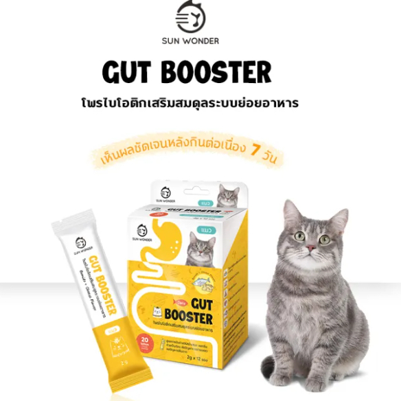 Sun Wonder Gut Booster โพรไบโอติก แมว แก้ท้องเสีย ท้องผูก ท้องอืด ระบบ ...