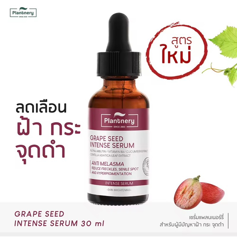 plantnery-grape-seed-anti-melasma-intense-serum-30-ml-ลดฝ้า-กระ-จุดด่างดำ-สูตรเร่งด่วน-x3-จบปัญหาฝ้าแดด-กระ-จุดด่างดำ