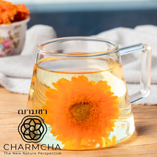 ชาดอกดาวเรือง (Marigold Tea) ผิวพรรณดีขึ้น บำรุงสายตา ชาดอกไม้ Charmcha ฌามชา