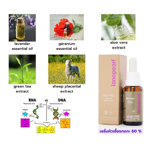 lanopearl-bio-phd-triple-lift-skin-serum-รกแกะเข้มข้น60-กระชับ3เท่า-รกแกะช่วยลดรอยเหี่ยวย่นที่เป็นร่องลึกมาก