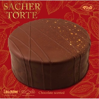 สกุชชี่ Ibloom Jumbo Sacher Torte Squishy