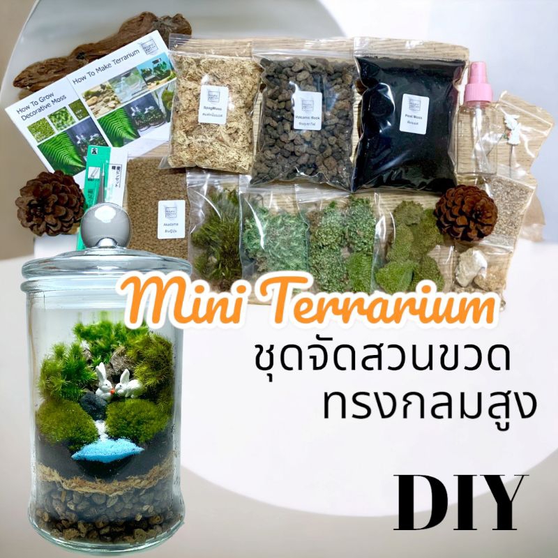 ชุดจัดสวนขวด-สวนขวด-terrarium-ขวดแก้วทรงกระบอกกลม