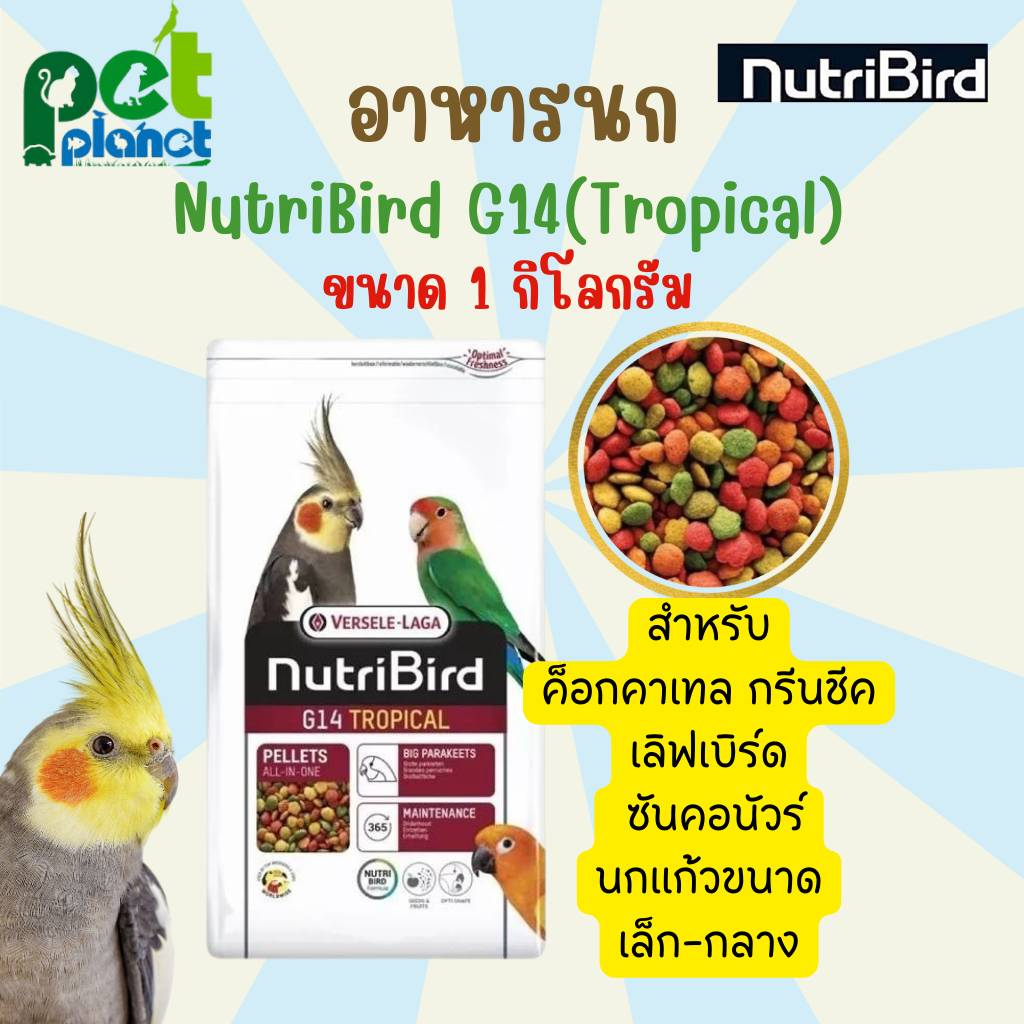 Versele Laga Nutribird G14 Tropical - Mangime Per Pappagallini, 1 Kg, Alimento Di Mantenimento - Foto 8