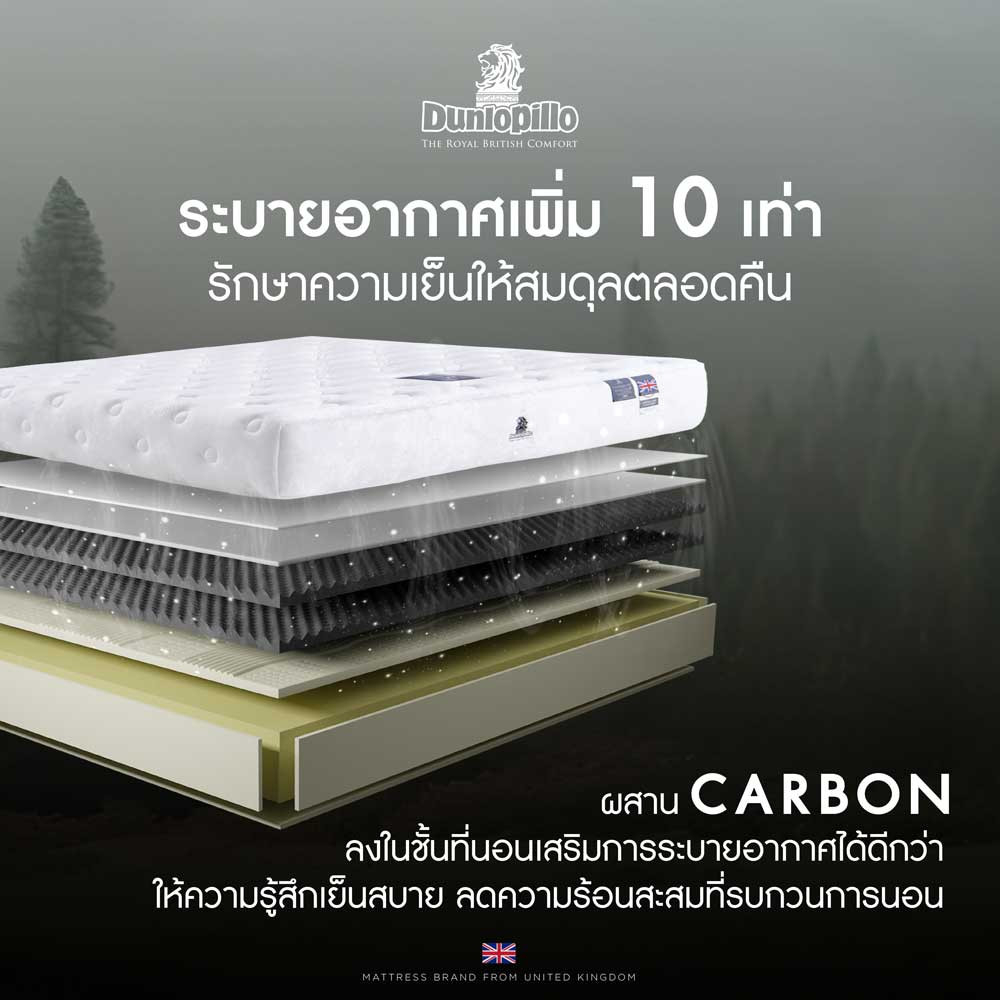 dunlopillo-ที่นอนยางพารา-นวัตกรรมผสมผสาน-carbon-เพิ่มความสบายขั้นสุด-รุ่น-wellington-หนา-11-นิ้ว-แถมหมอนหนุนสุขภาพ-ส่งฟรี