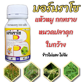 ยาฆ่าหญ้าในนาข้าว บอร์นราโซ (100กรัม) ไพราโซซัลฟูรอน-เอทิล 10% สารกำจัดวัชพืชในนาข้าว กำจัด แห้วหมู กก ใบกว้าง