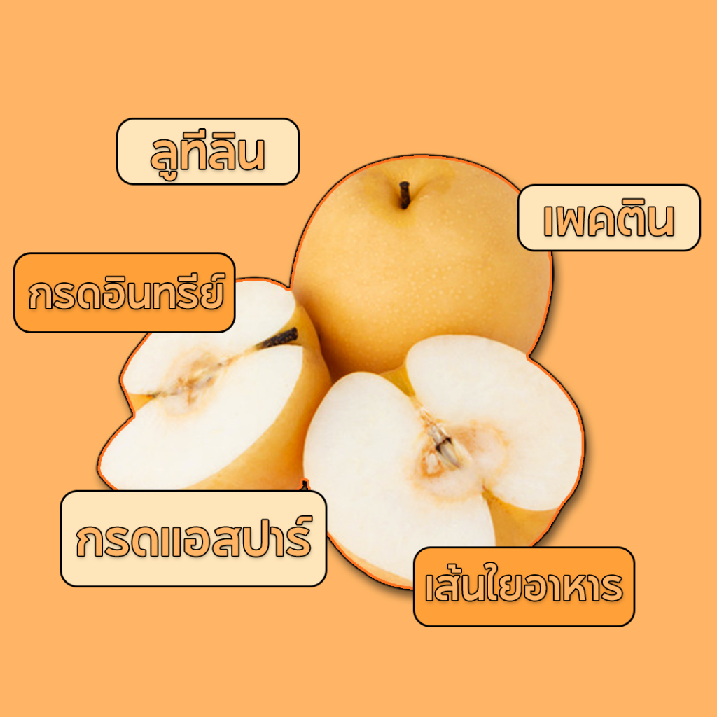 pear-juice-น้ำสาลี่หรือลูกแพร-แก้แฮง-บรรเทาอาการเมาค้าง-ต้านมะเร็ง-สูตรเข้มข้นธรรมชาติ100-ดื่มเพื่อสุขภาพ